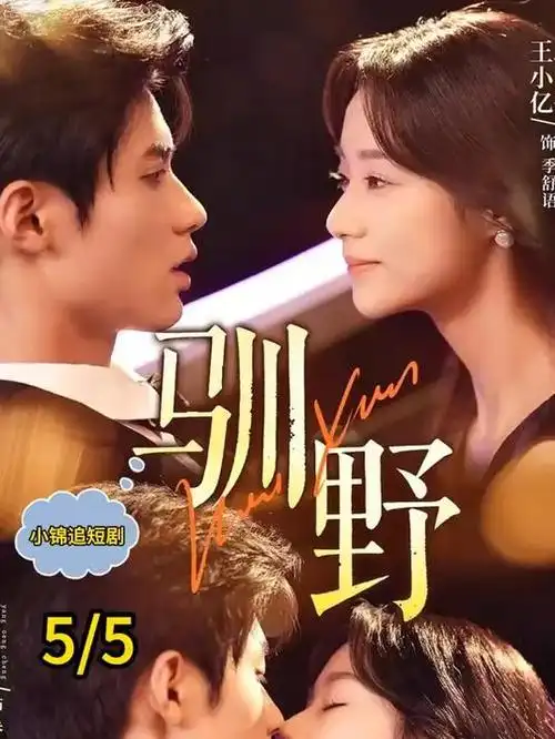 六夜影视在线播放免费观看电视剧 绝命毒师
